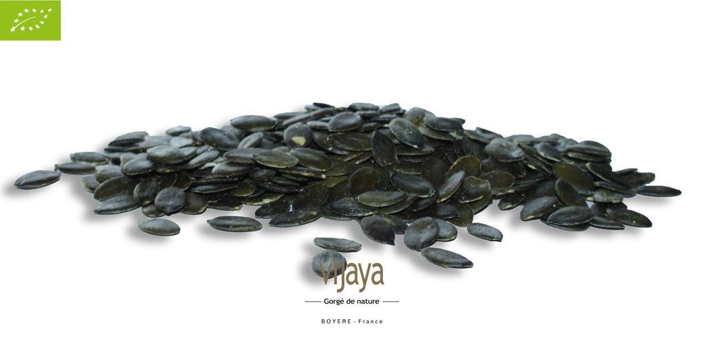 Graine de Courge - FRANCE - 20 kg - Bio*