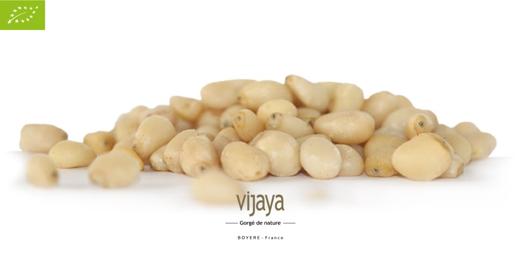 Pignon de Pin - RUSSIE - 2x5Kg -  Bio*