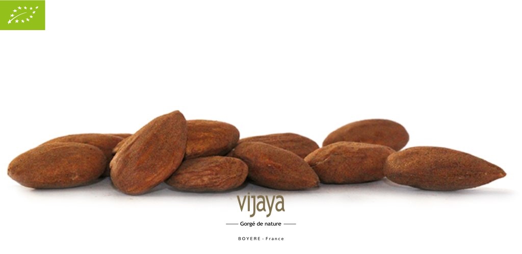 Amande Décortiquée Toastée et Salée - SICILE - 5 kg - Bio*