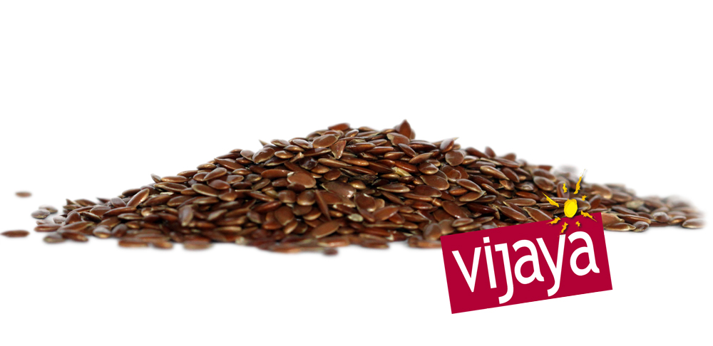 Graine de Lin Brun - KAZAKHSTAN - 25 kg - Bio*