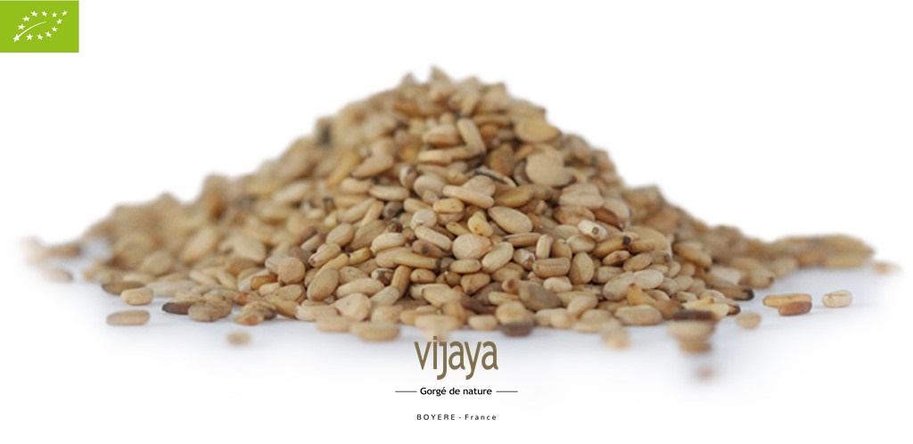 Graine de Sésame Blanc Complet - OUGANDA - 5 kg - Bio*