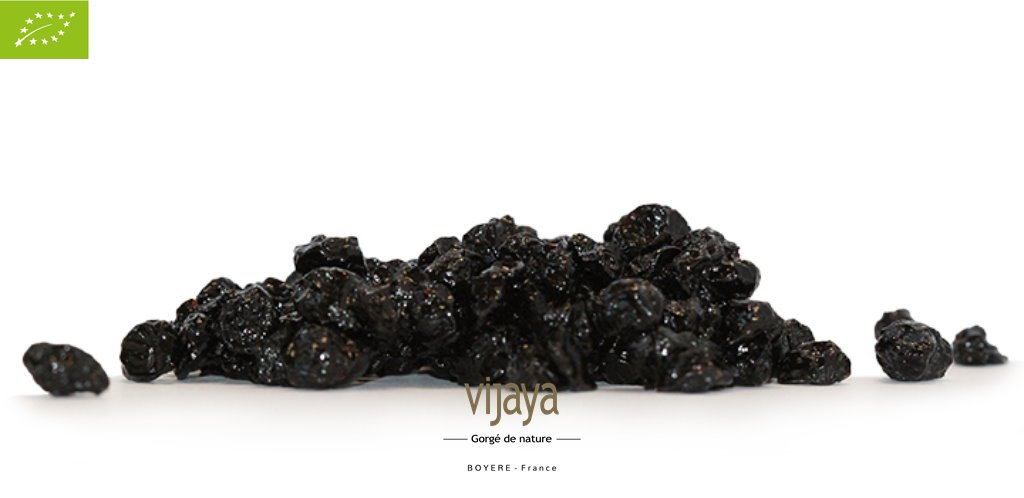 Myrtille Séchée Sauvage - Au Jus de Pomme - CANADA - 5 kg - Bio*